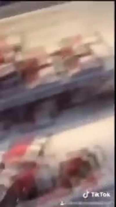 at turning people vegan.