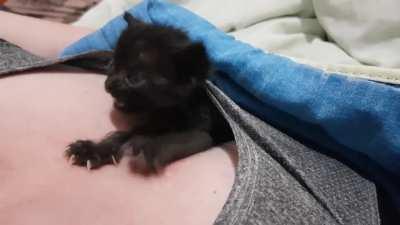 [UPDATE] 3 criminals that got dumped at my work, now serving time until release