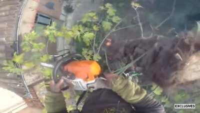 When your chainsaw overheats