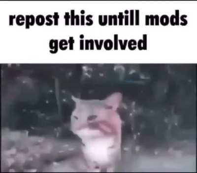 Come on let’s do this