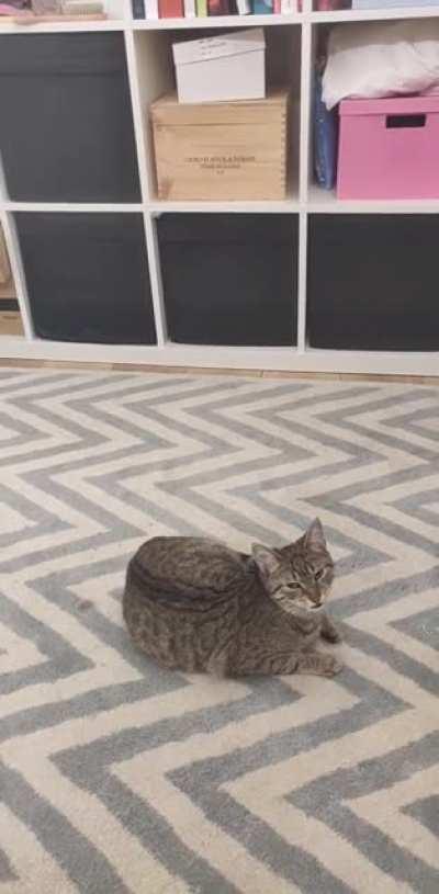 Your sneezing insults me.