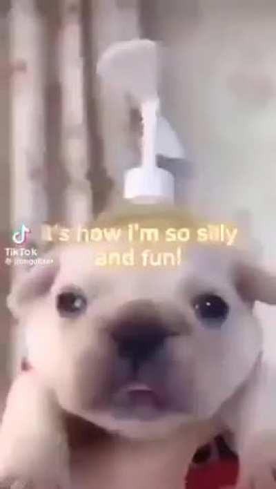 what’s the music in the back rule