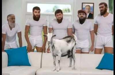 General Kadyrov and his Goat Penetration Forces