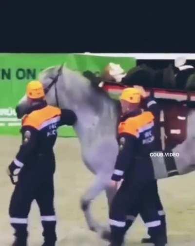 Hupfdohle meldet sich zur Salamizubereitung an