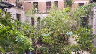 Nice bit of rain in Paris