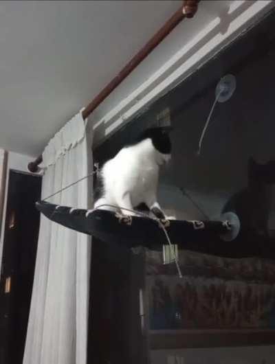 What if I break this..