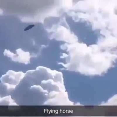 Found a absolute bop in a funny meme. Too short for any software.