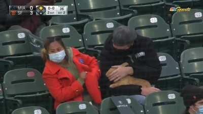 Did this bunny need a negative Covid test to attend the giants game?