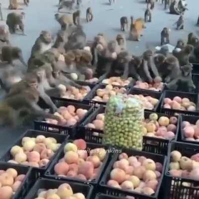 Wah wah wah wah wah🗣