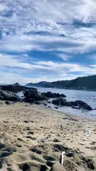 Thom on the beach! 🏖