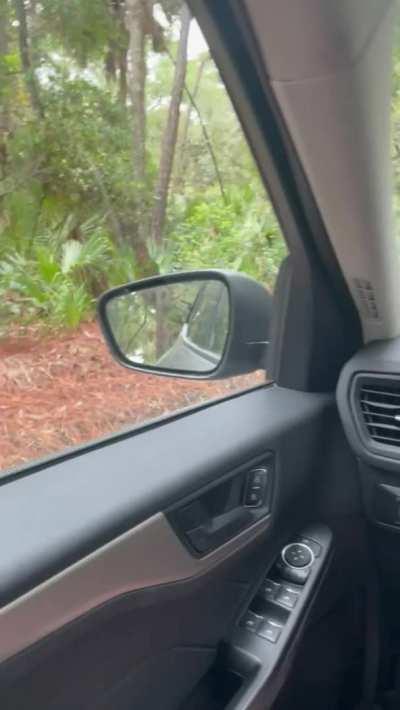 Had to sneak one in the park😛