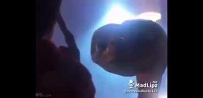 i wonder what it smelled like