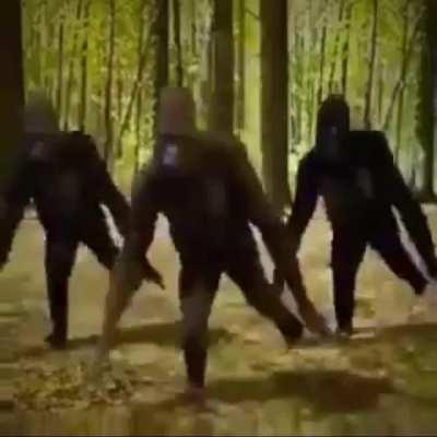 Idk what to put here