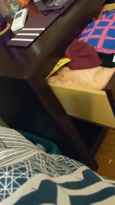 to hide the cat treats.