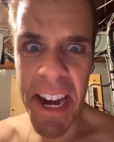 So TikTokAnarchy is really gone then? Here’s some Perez Hilton cringe...