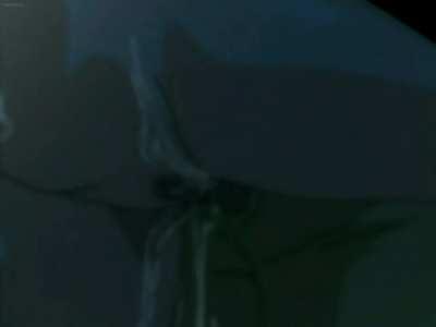 Consenting Adultery 1 part 2