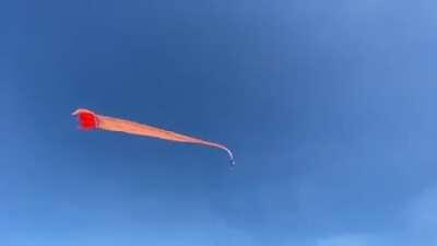 Campeonato de pipa gigante em Taiwan. A criança ficou presa e foi junto