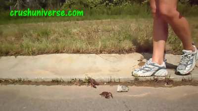 sexy aggressive crd crush under sneakers