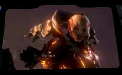 Didact wildin