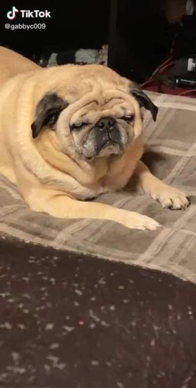 AAA SE DURMIO ASI DE LA AAAAA