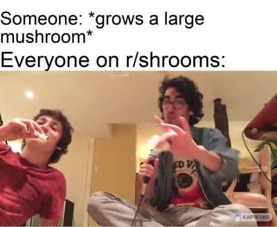 ah yes, it's boof time