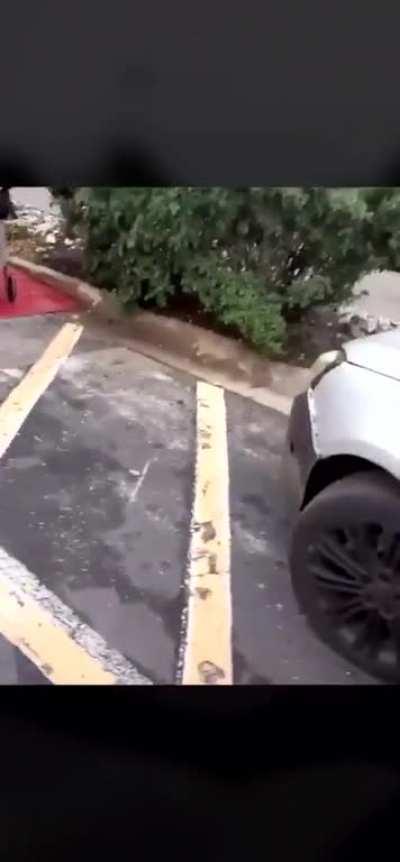 Completely Trashy Grandma