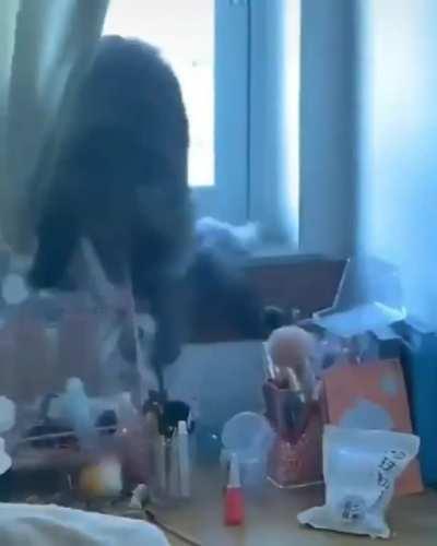 War, war never changes