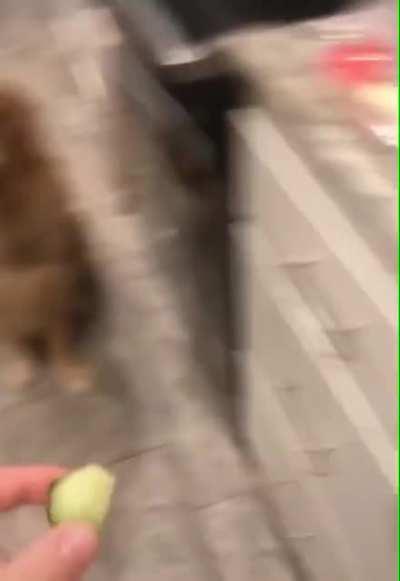 disappointed is immeasurable.