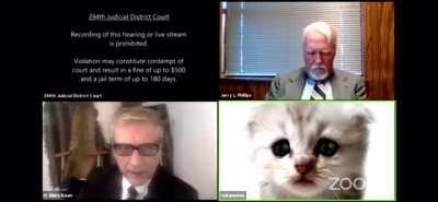 Lawyer has cat filter turned on during Zoom court hearing