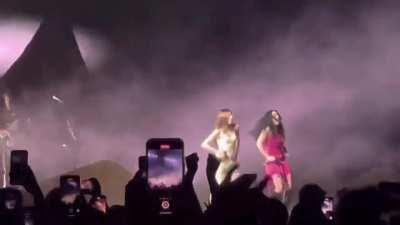 Welcome to their island /mu/