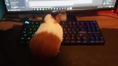 Hes amazed with his work