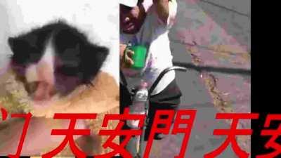 Tu mama?!?!?!?!? when the