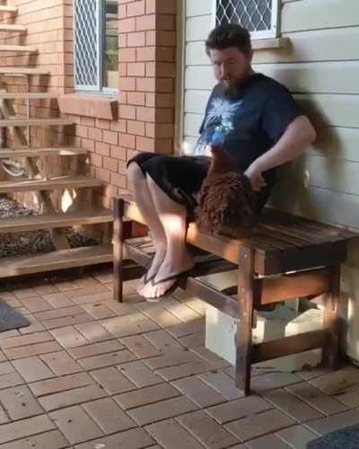 Everybody needs a hug