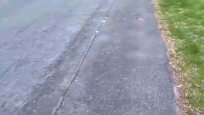 Son you dropped the nuggies