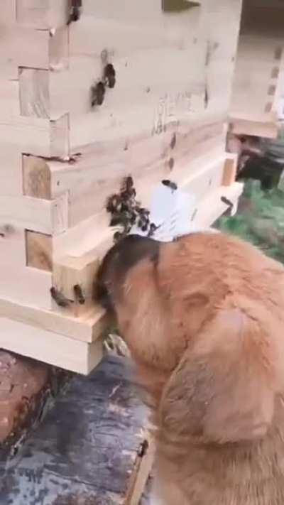 Should not have done that