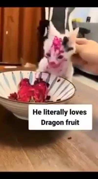 Zckdtidjfsjsjfsjfsjfshfzfzzfjvkvvhcgxpgffyfdiddktditdtkditdigditerisjrsjwwrwqerwreteyryryetecgxfdtdsussurdkgdtdktddy!