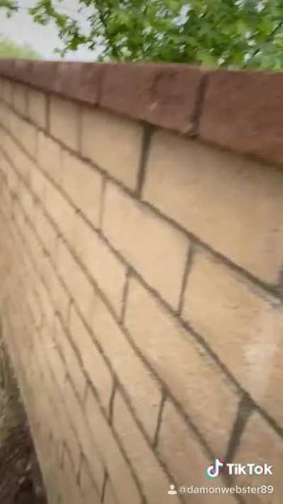 He knew freedom for a whole 1.2 seconds