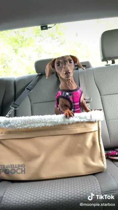 When I get older like a grown up...