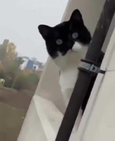 Ohh someone's in trouble