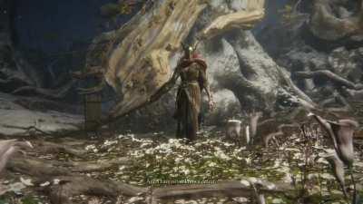 My first encounter with malenia