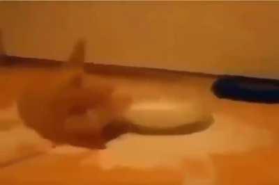 The creature is thirsty