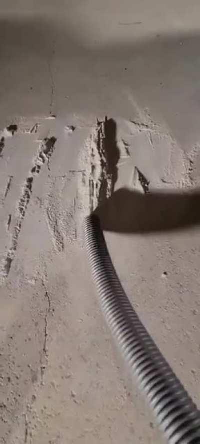 ME AND MY HUMAN BUSINESS PARTNERS CELEBRATING RECORD PROFITS