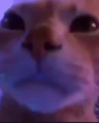 AFKuumi watching as the team fight unfolds before her very eyes without doing nothing because the f@g playing her is douching while the game goes on