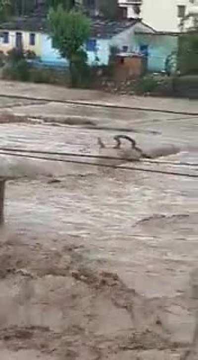 Breaking News Cloudburst in Devprayag, Uttrakhand. Many houses including ITI building washed away in the river Ganga.( Alaknanda+ Bhagirathi) SDRF teams on the way. Vid 2