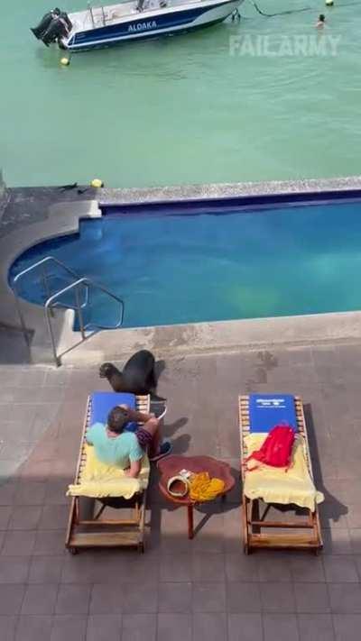 to have an afternoon on the lounger...