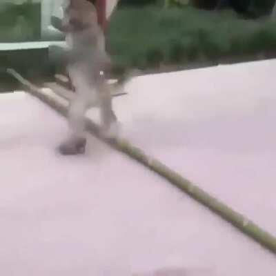 Muquinha esportes radicais