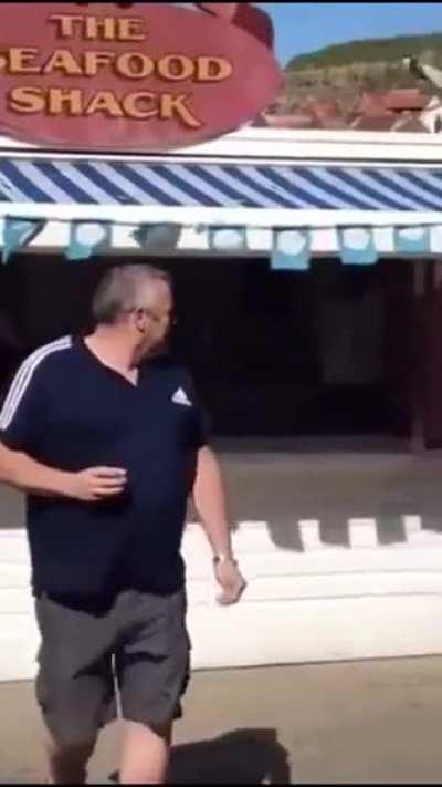 Bloke lands a left hand on seagull which try to steal his prawns