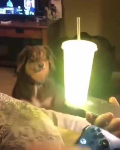 He hath seen the light...