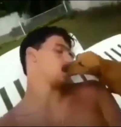 butter dick dog dog with butter on his dick butter dick dog