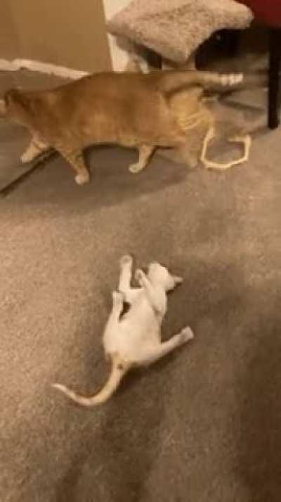 Just...gonna walk away from this one...